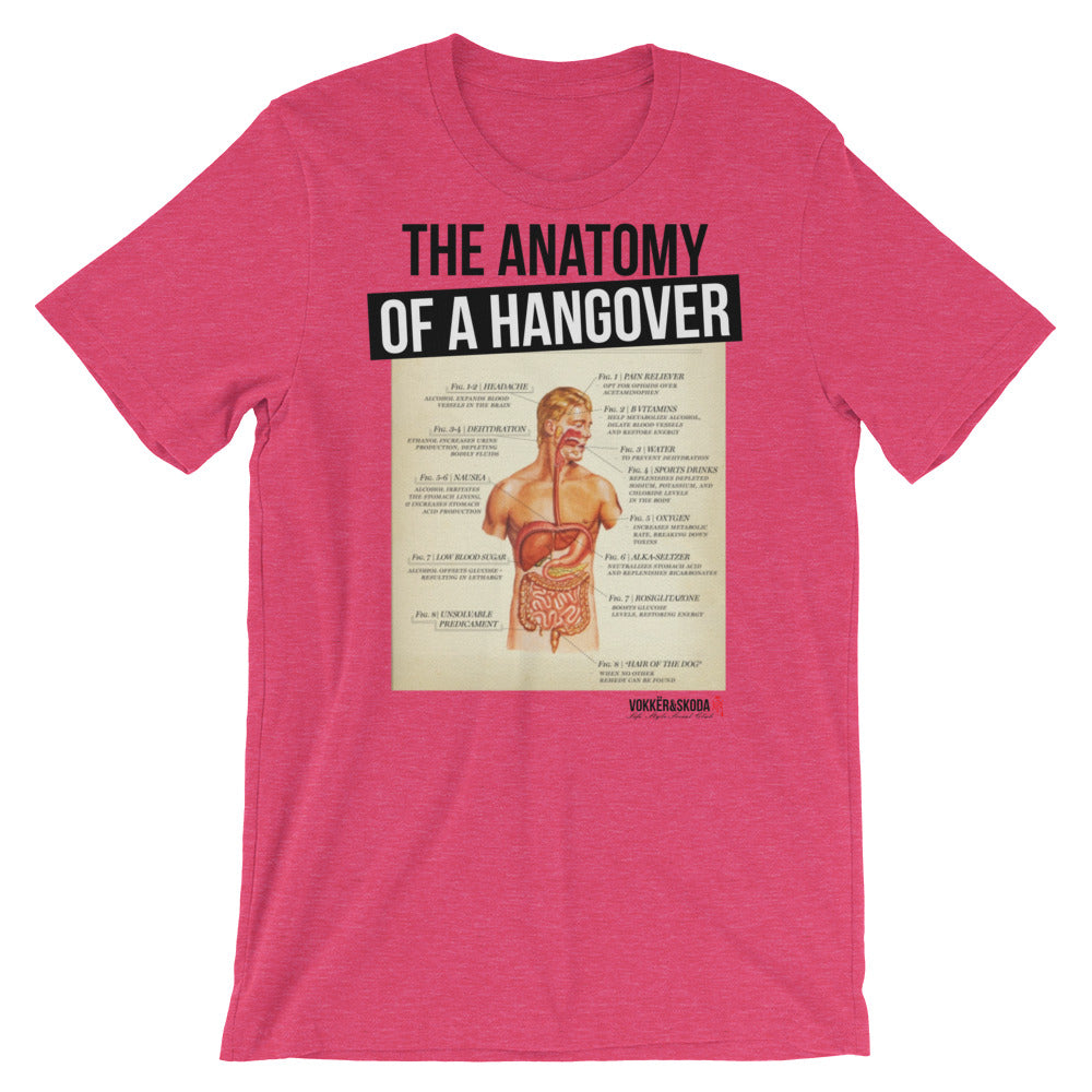 Hangover Anatomy