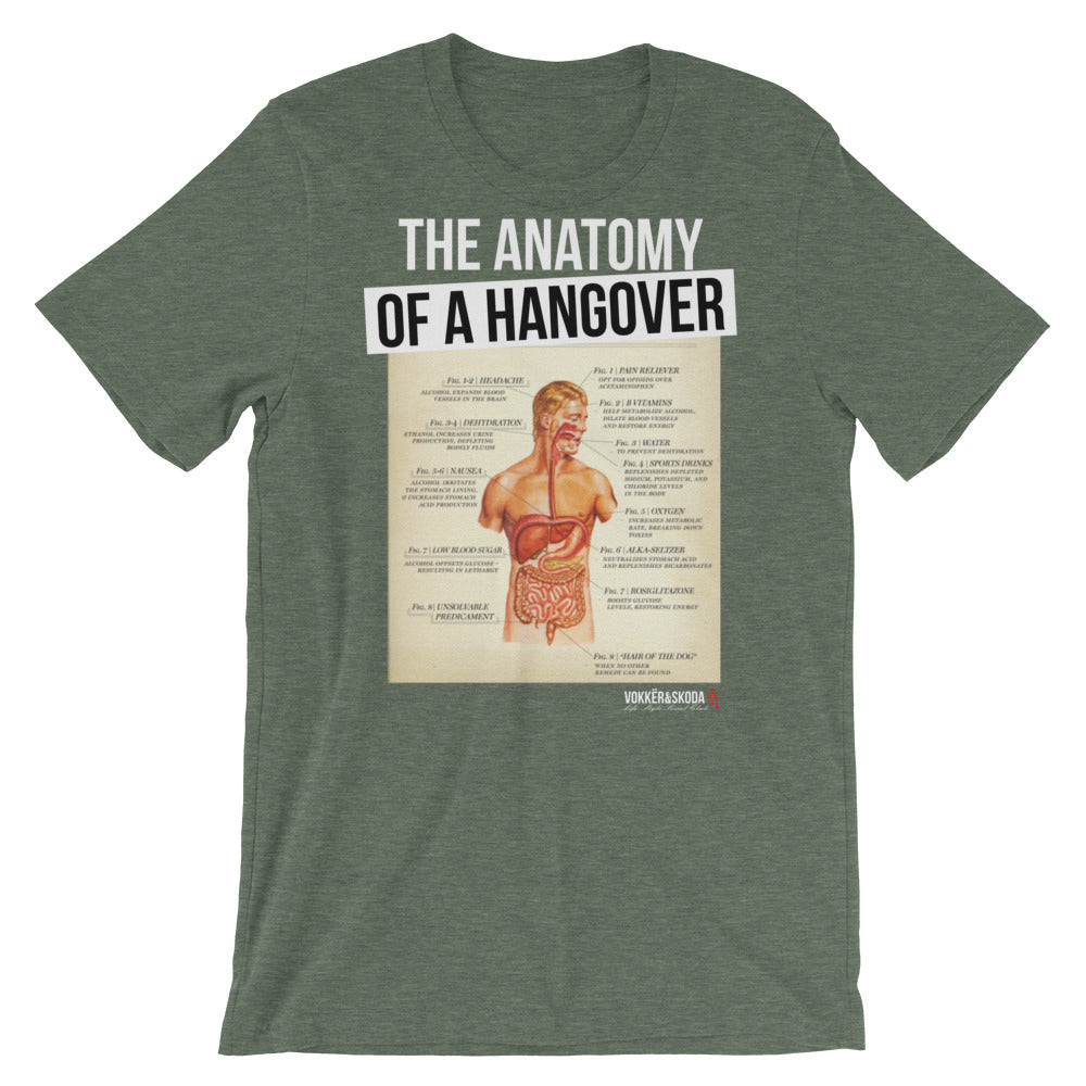 Hangover Anatomy