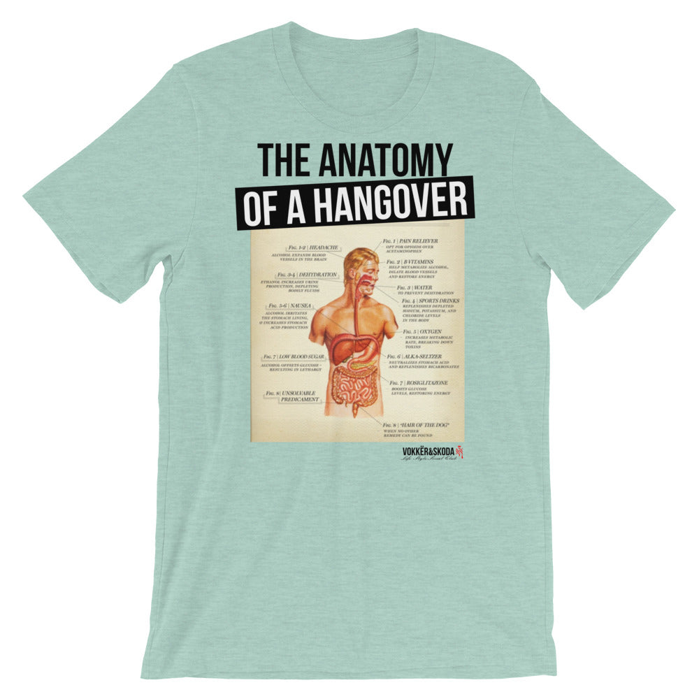 Hangover Anatomy