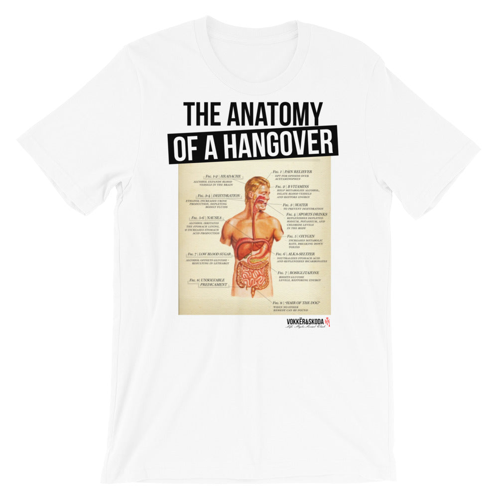 Hangover Anatomy